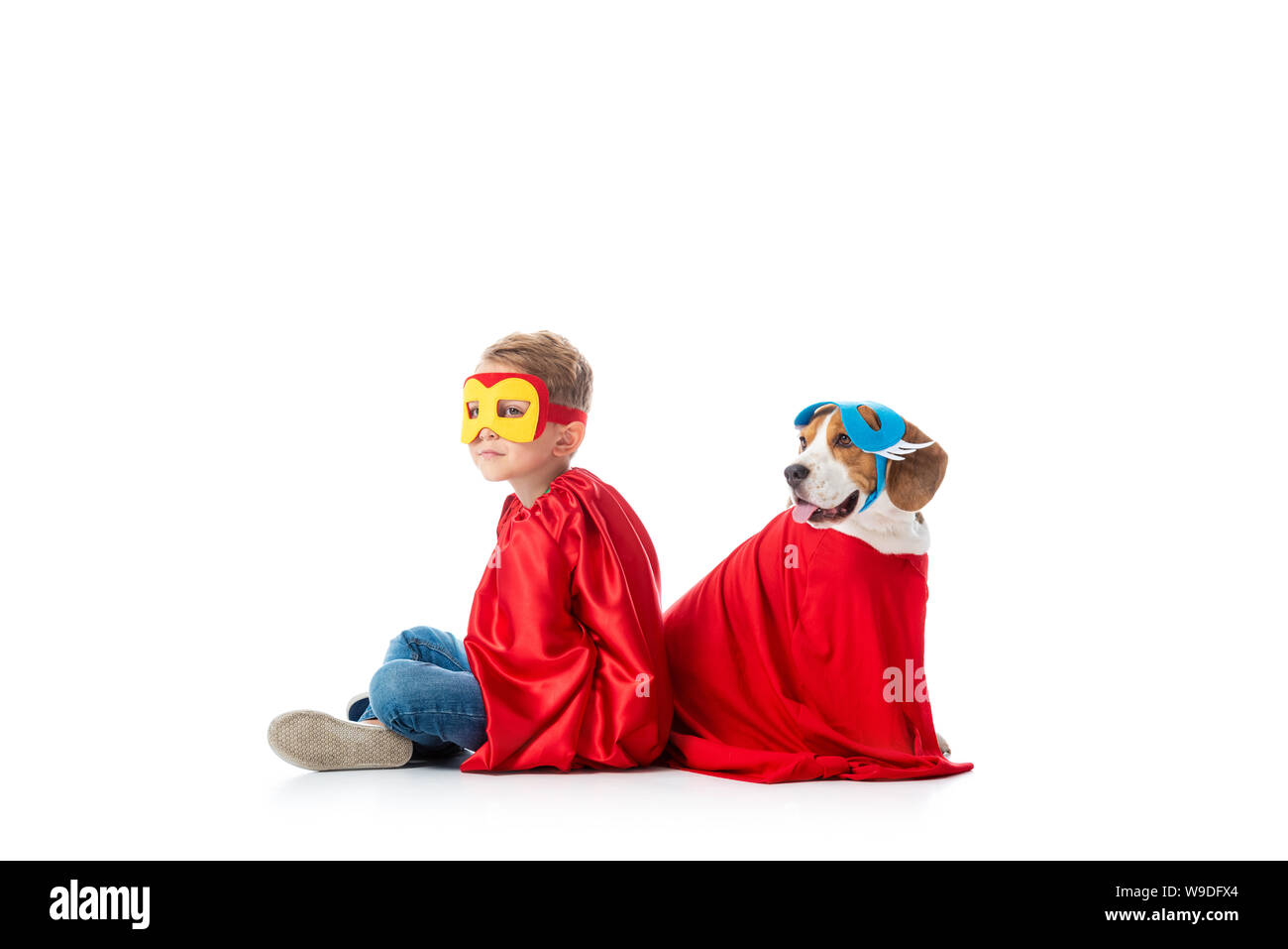 preschooler child and beagle dog in masks and red hero cloacks sitting back to back isolated on white Stock Photo