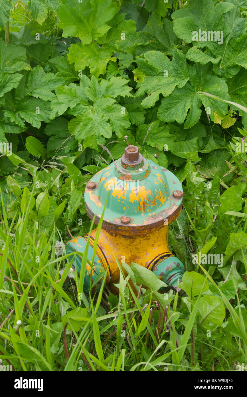 Colorful fire hydrant, relic of abandoned Navy base, Adak Island, Aleutian Islands, Alaska Stock Photo