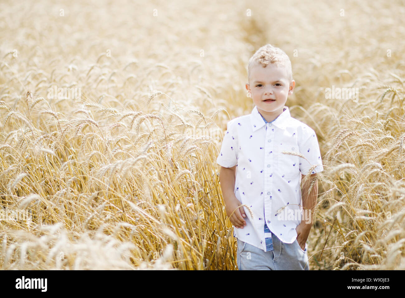Happy child in summer wheat field Stock Photo - Alamy