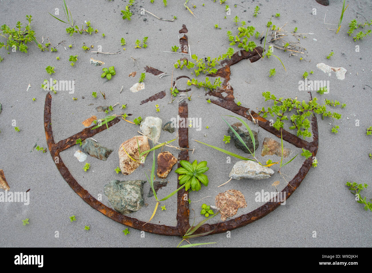 Plants grow among metal debris of abandoned Naval base, Adak Island, Aleutian Islands, Alaska Stock Photo
