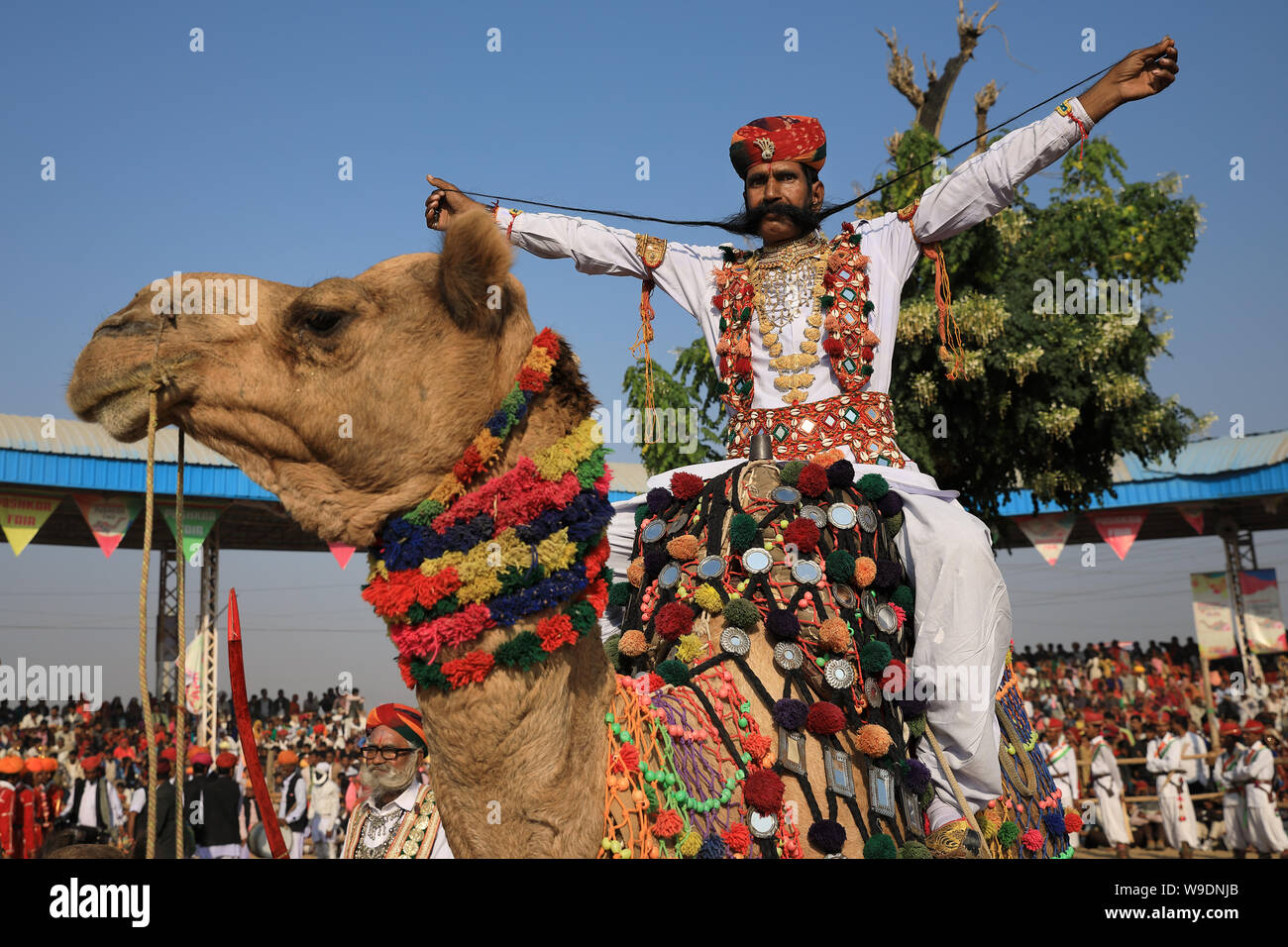 Winner of the beard contest at the Pushkar Camel Fair, Rajasthan. The fair  is the largest camel fair in India Stock Photo - Alamy