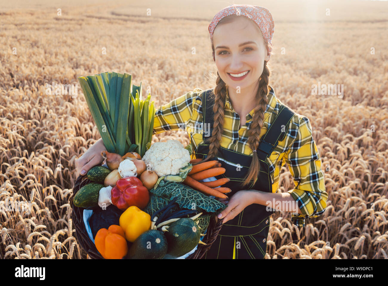 Harvest time in the country, woman farmer offering vegetables Stock ...