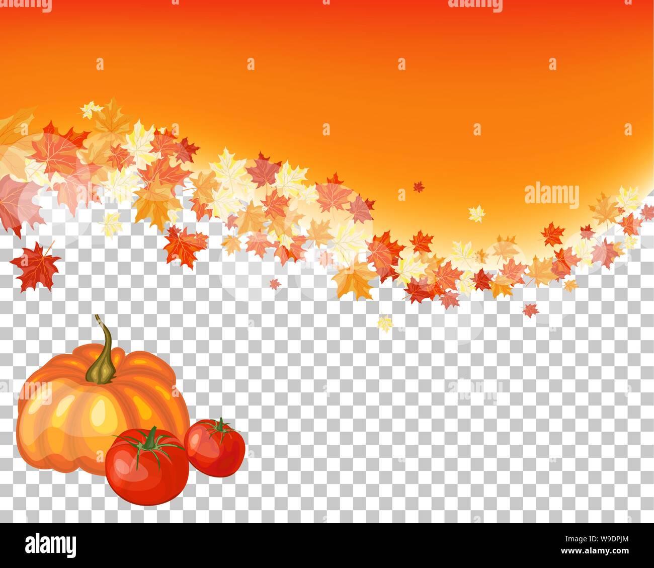 Fall Design Tranparent Fall (Autumn) Maple Background. Transparency Grid Design. Vector ...