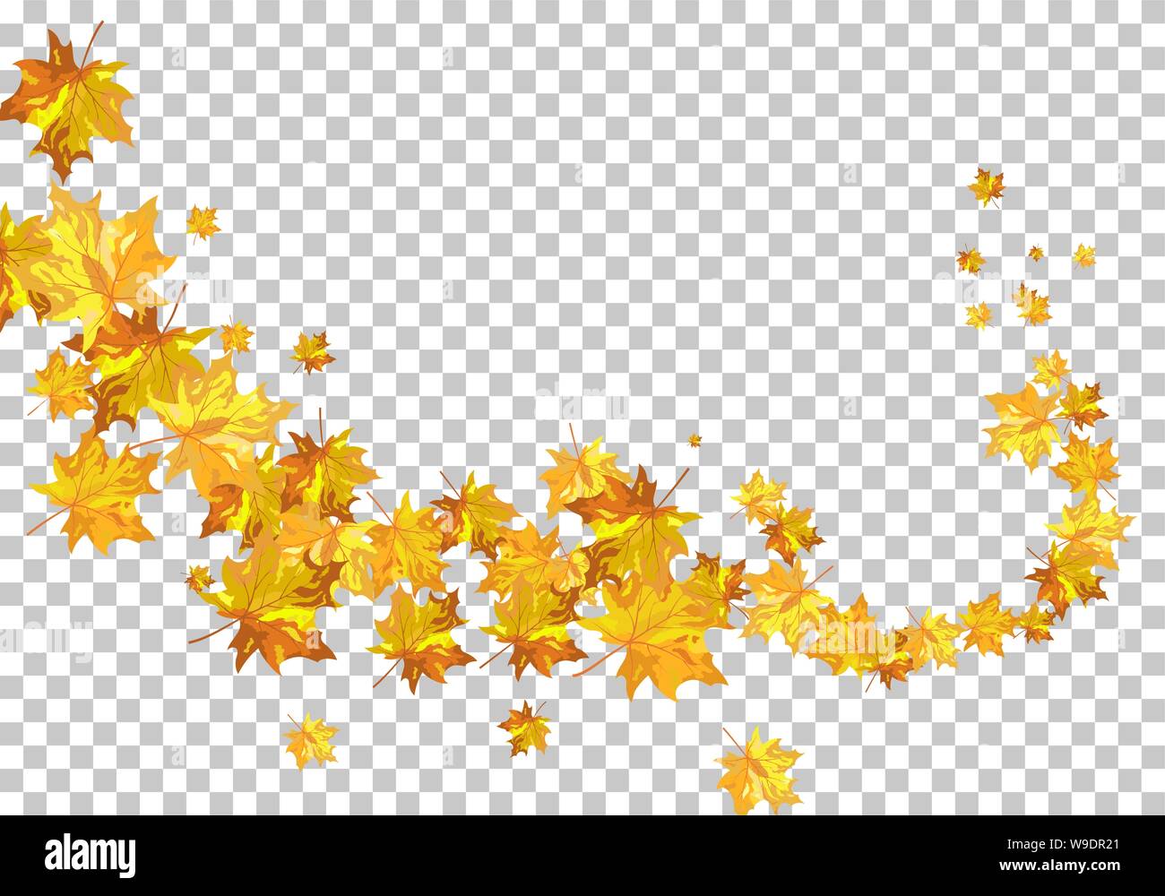 Fall (Autumn) Maple Background. Transparency Grid Design. Vector ...