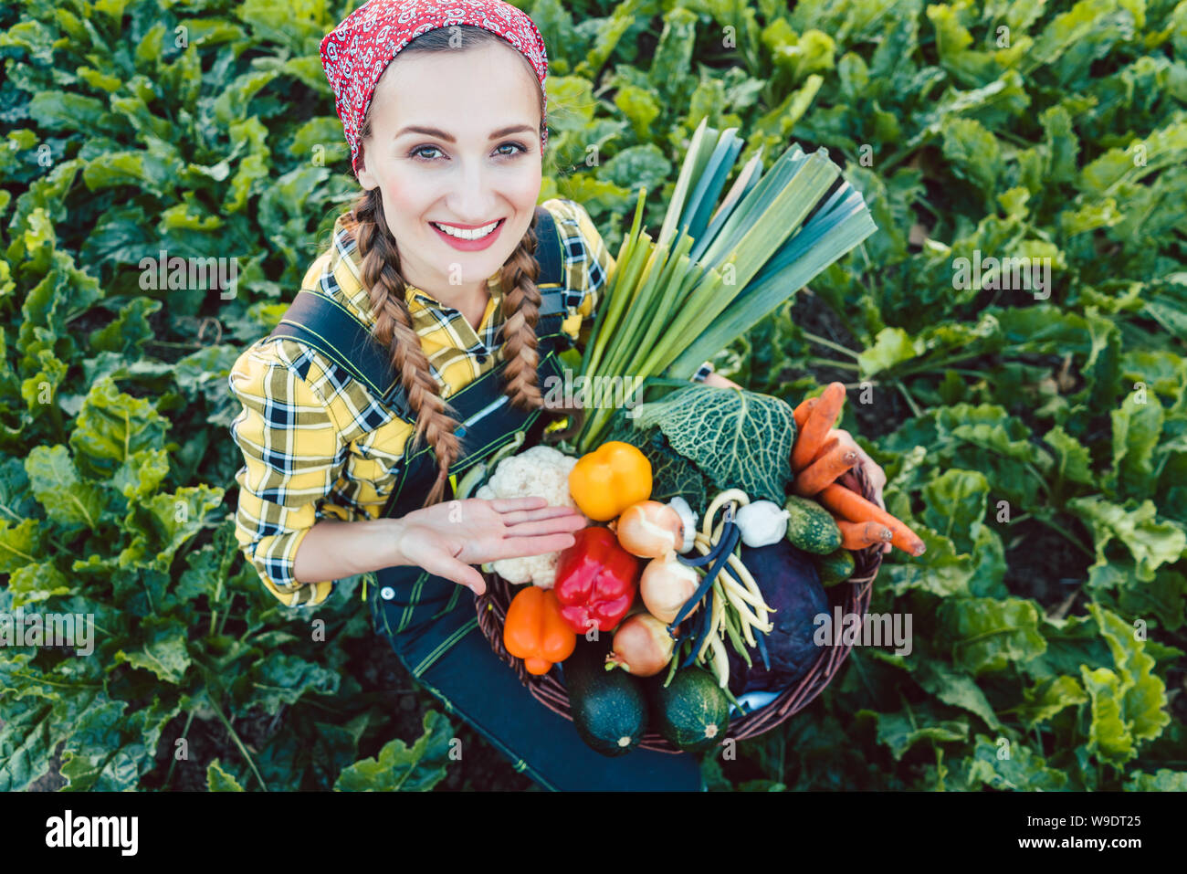 Farmer woman in a field offering organic vegetables Stock Photo - Alamy