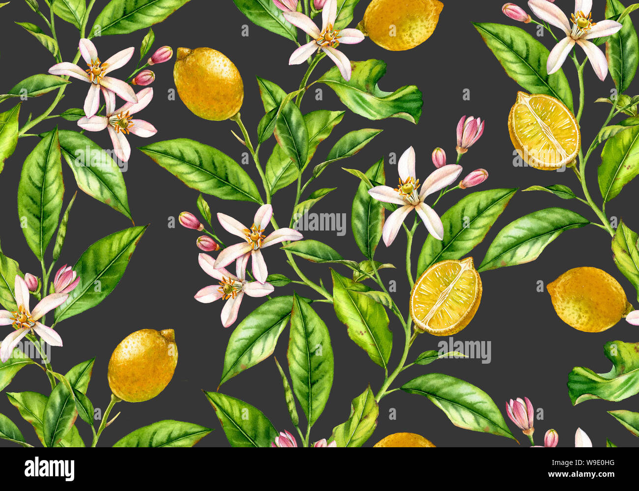 Lemon branch seamless pattern watercolor fruit tree with flowers ...