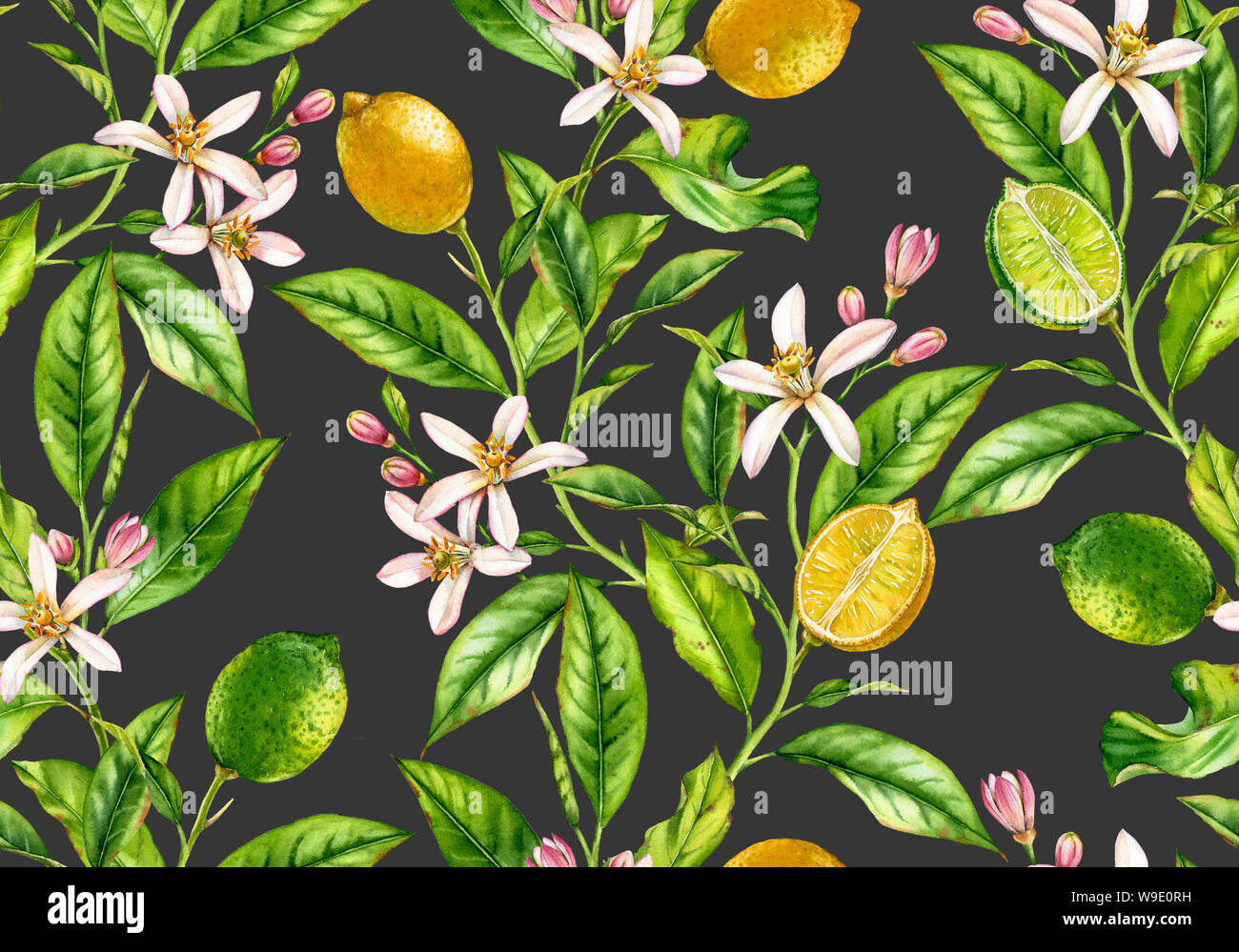 Lemon Lime branch seamless pattern watercolor fruit tree with flowers ...