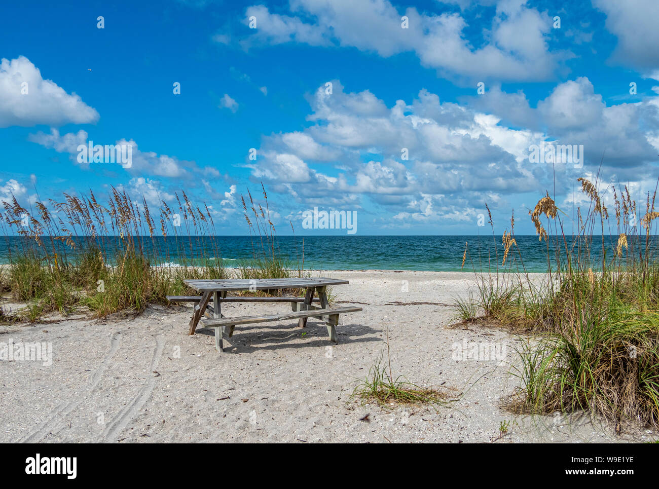 Picnic table on beach at Stump Pass State Park on the Gulf of Mexico in Englewood  in Southwest Florida Stock Photo