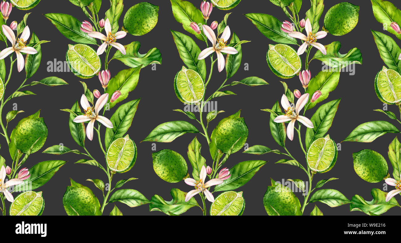 Lime branch seamless pattern watercolor fruit tree with flowers realistic botanical floral surface design: whole half citrus leaves on cream beige Stock Photo