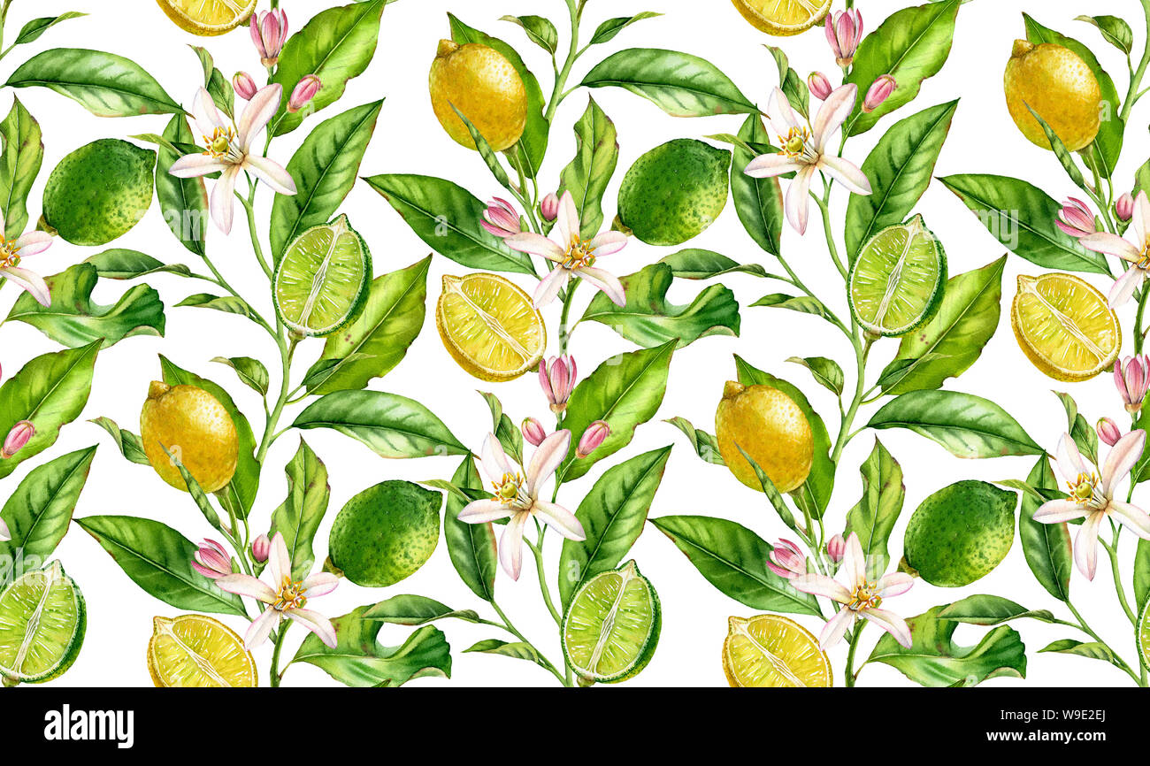 Lemon Lime fruit seamless pattern watercolor tree branch with flowers ...