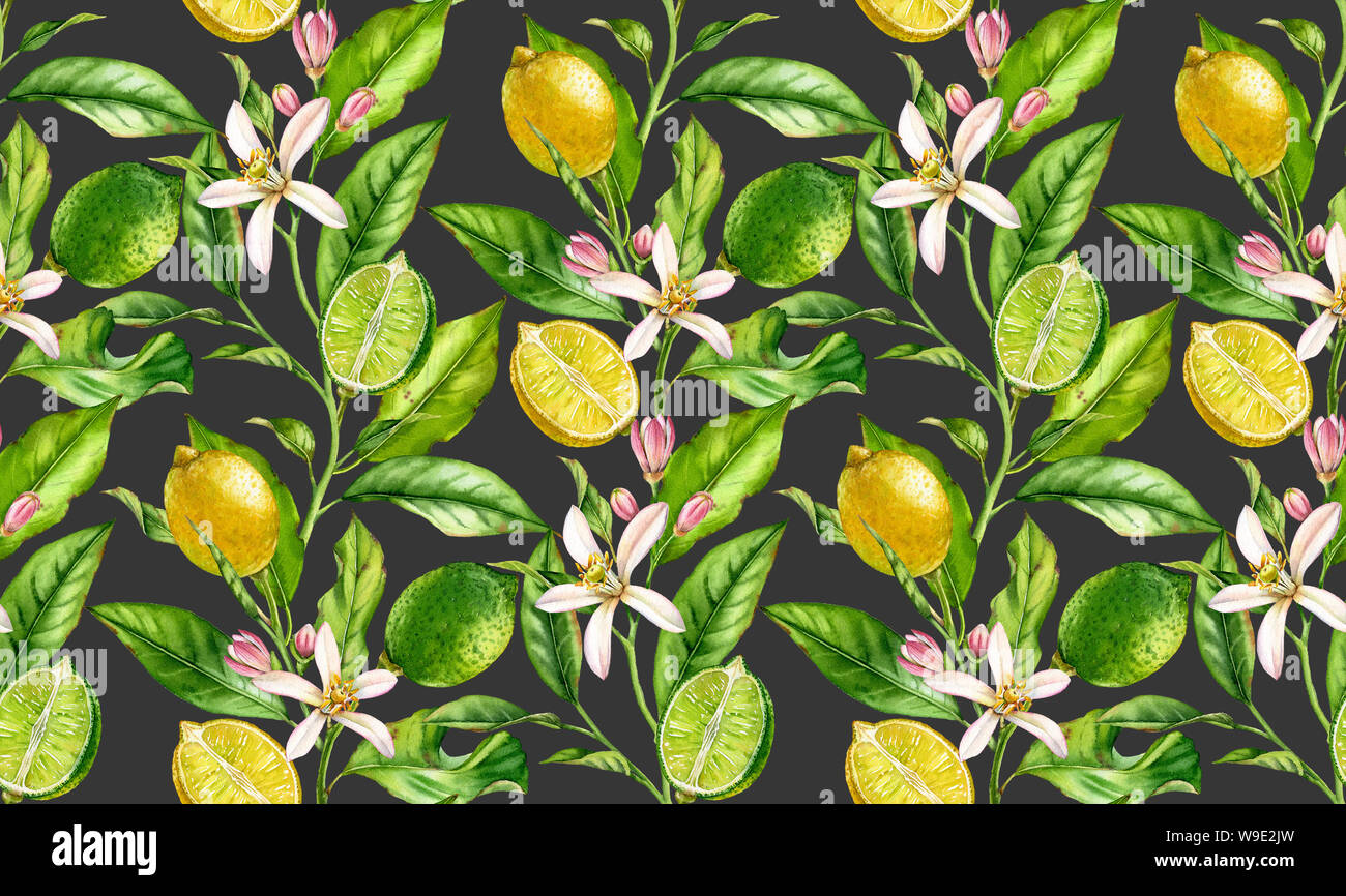 Lemon Lime branch seamless pattern watercolor fruit tree with flowers ...