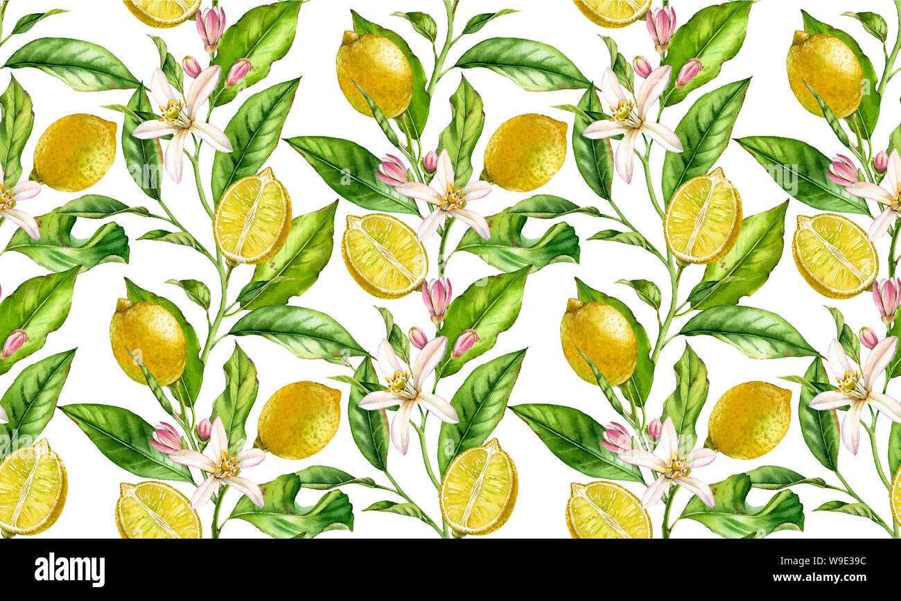 Lemon fruit seamless pattern watercolor tree branch with flowers ...