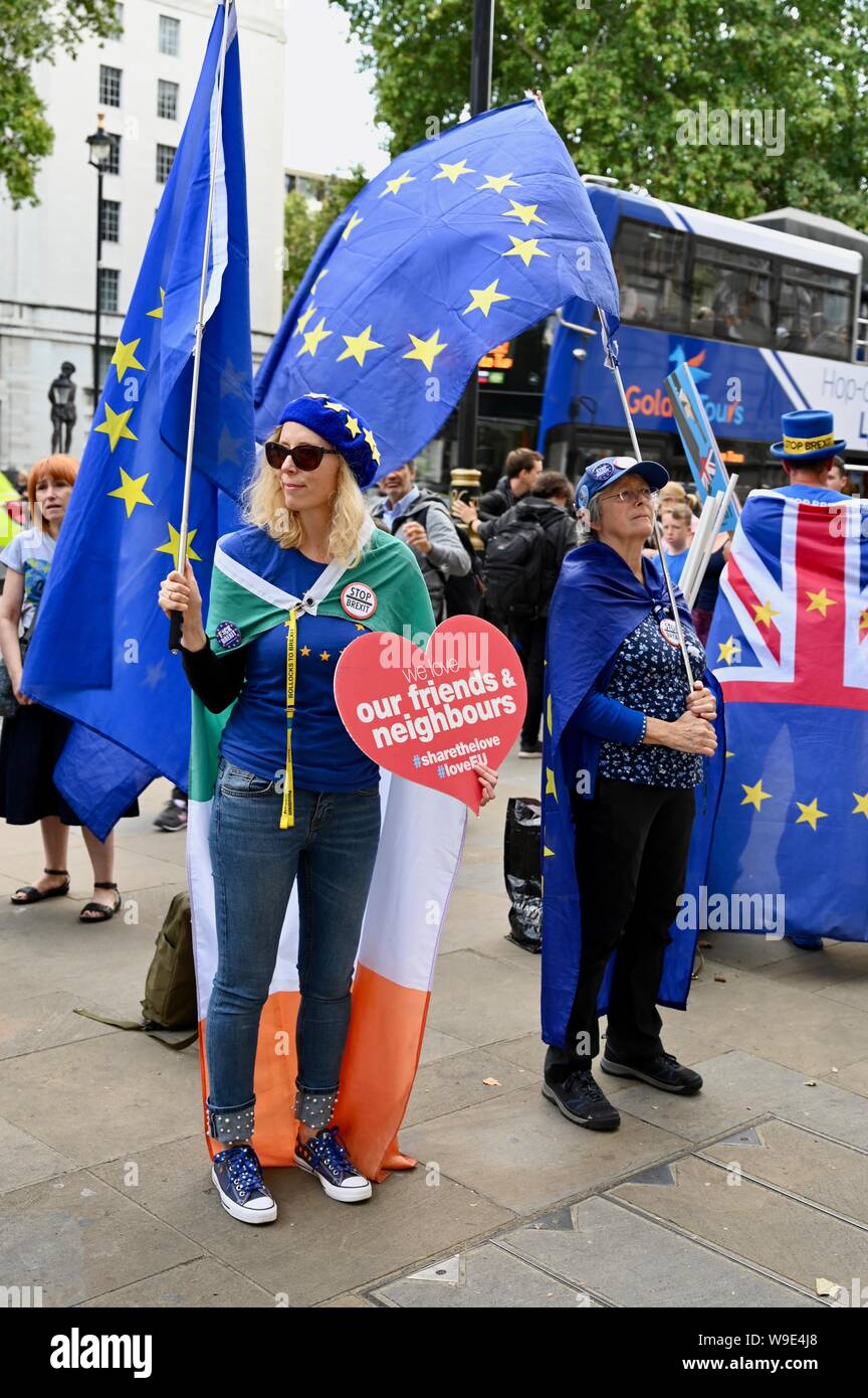 SODEM Stop Brexit Protest, The Cabinet Office, Whitehall, London. UK Stock Photo