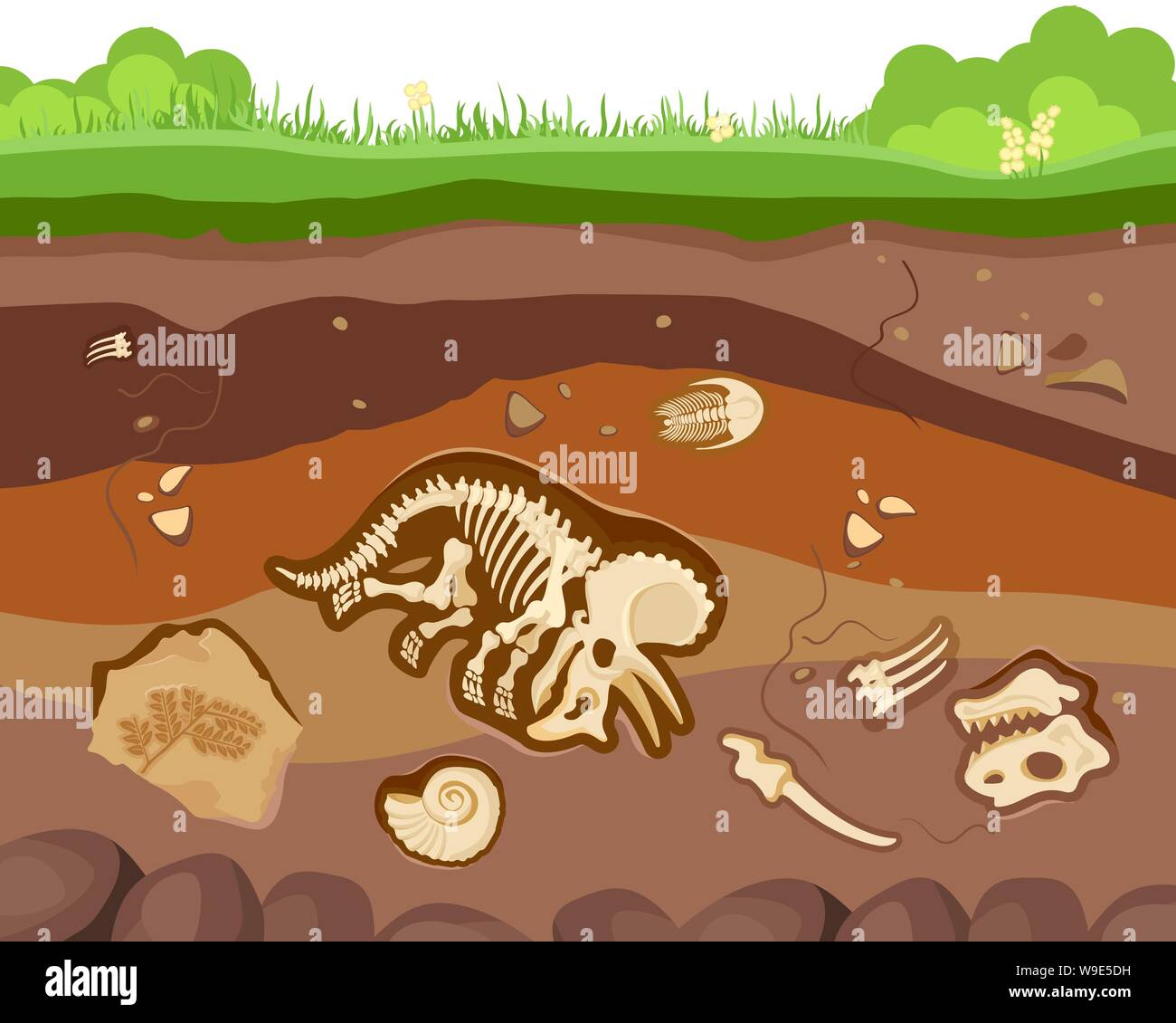 Soil ground layers with buried fossil animals, dinosaur, crustaceans