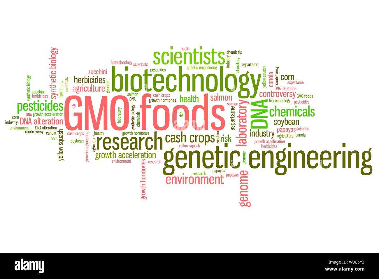 modified food (GMO foods) concepts word cloud illustration