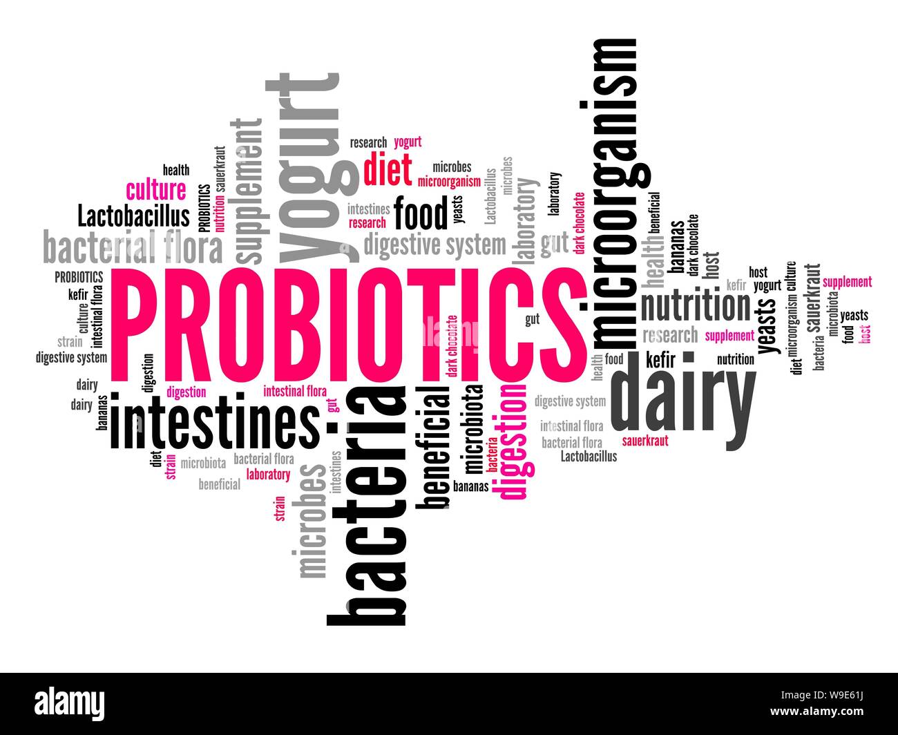 Probiotics intestinal flora food supplement. Word cloud sign Stock Photo Alamy