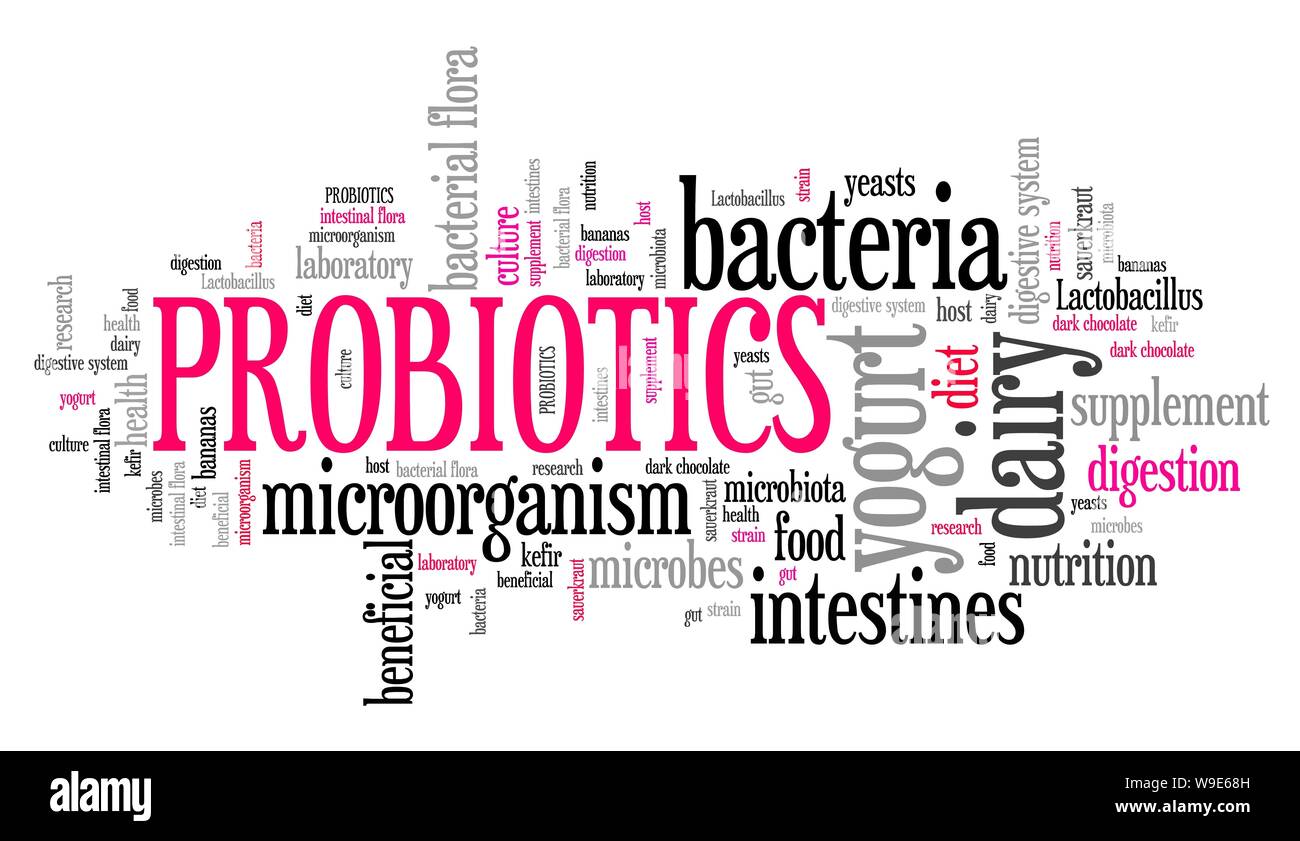 Probiotics intestinal flora food supplement. Word cloud sign Stock Photo Alamy