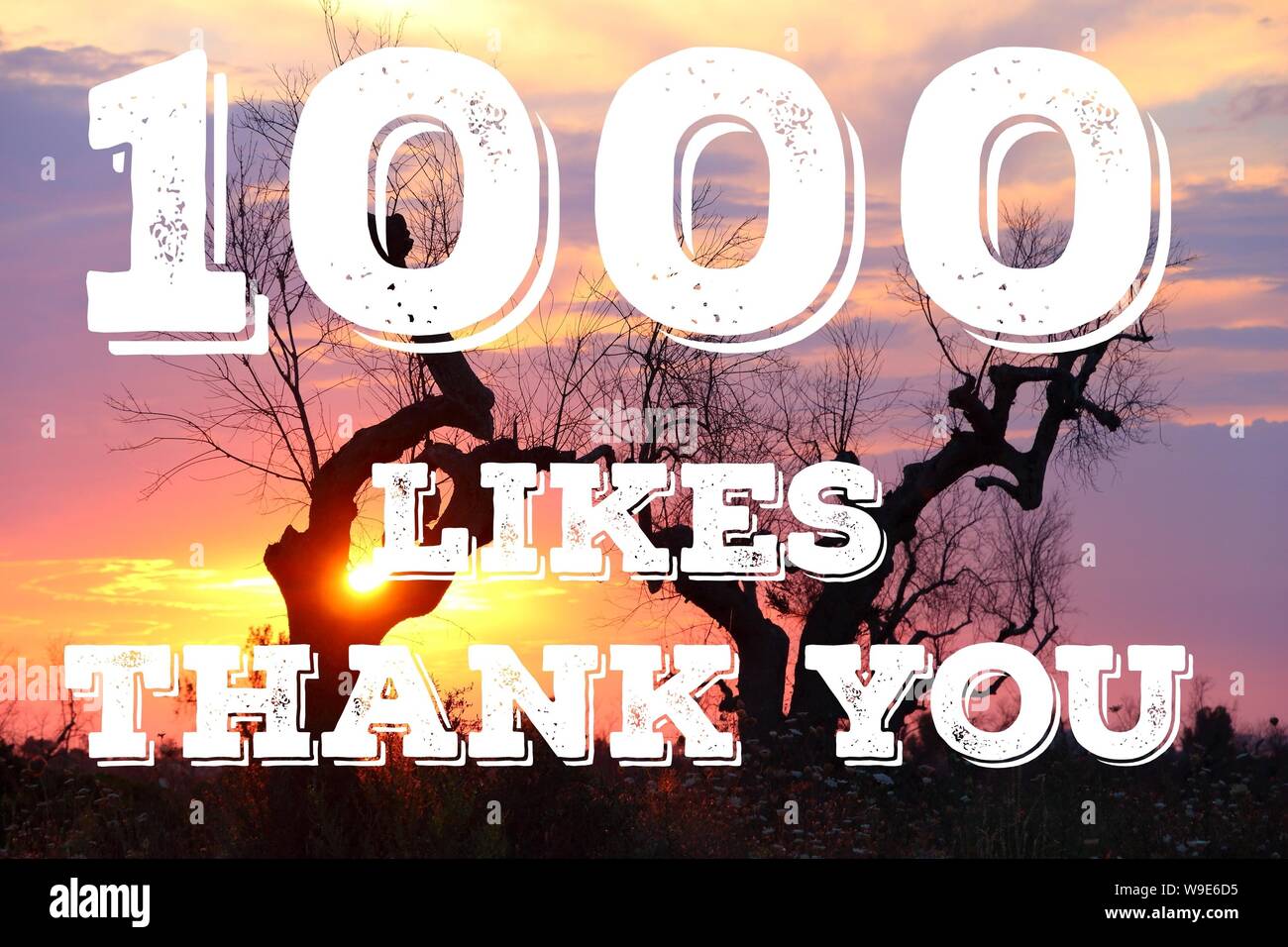 1000 likes - thank you banner. Social media milestone sign. Stock Photo