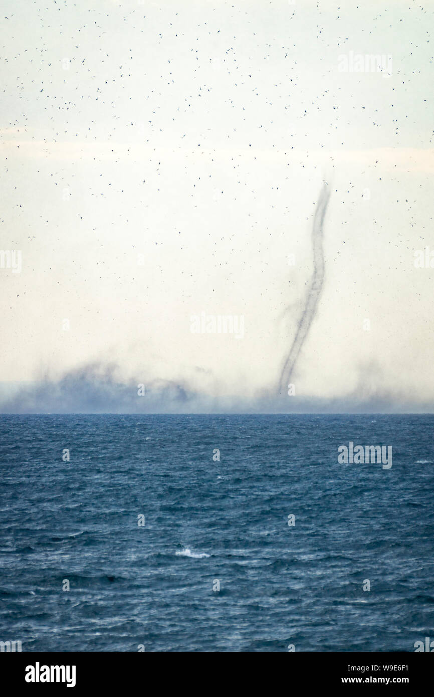 Spiral swarm of lake flies (Chaoborus edulis) in Lake Malawi Stock Photo