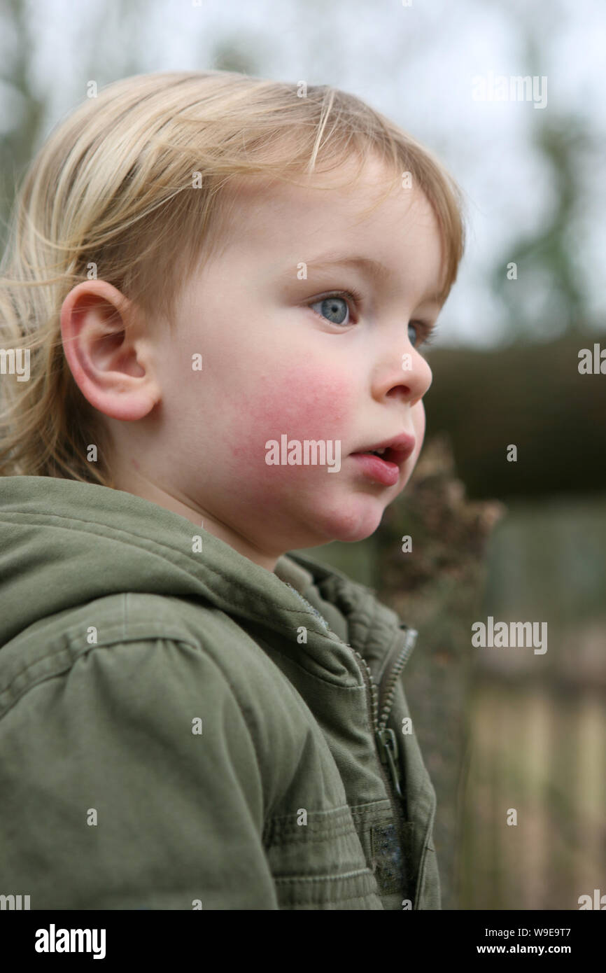 Pensive 2-year-old boy looks at the world : Mottisfont, Hampshire, UK.  MODEL RELEASED Stock Photo