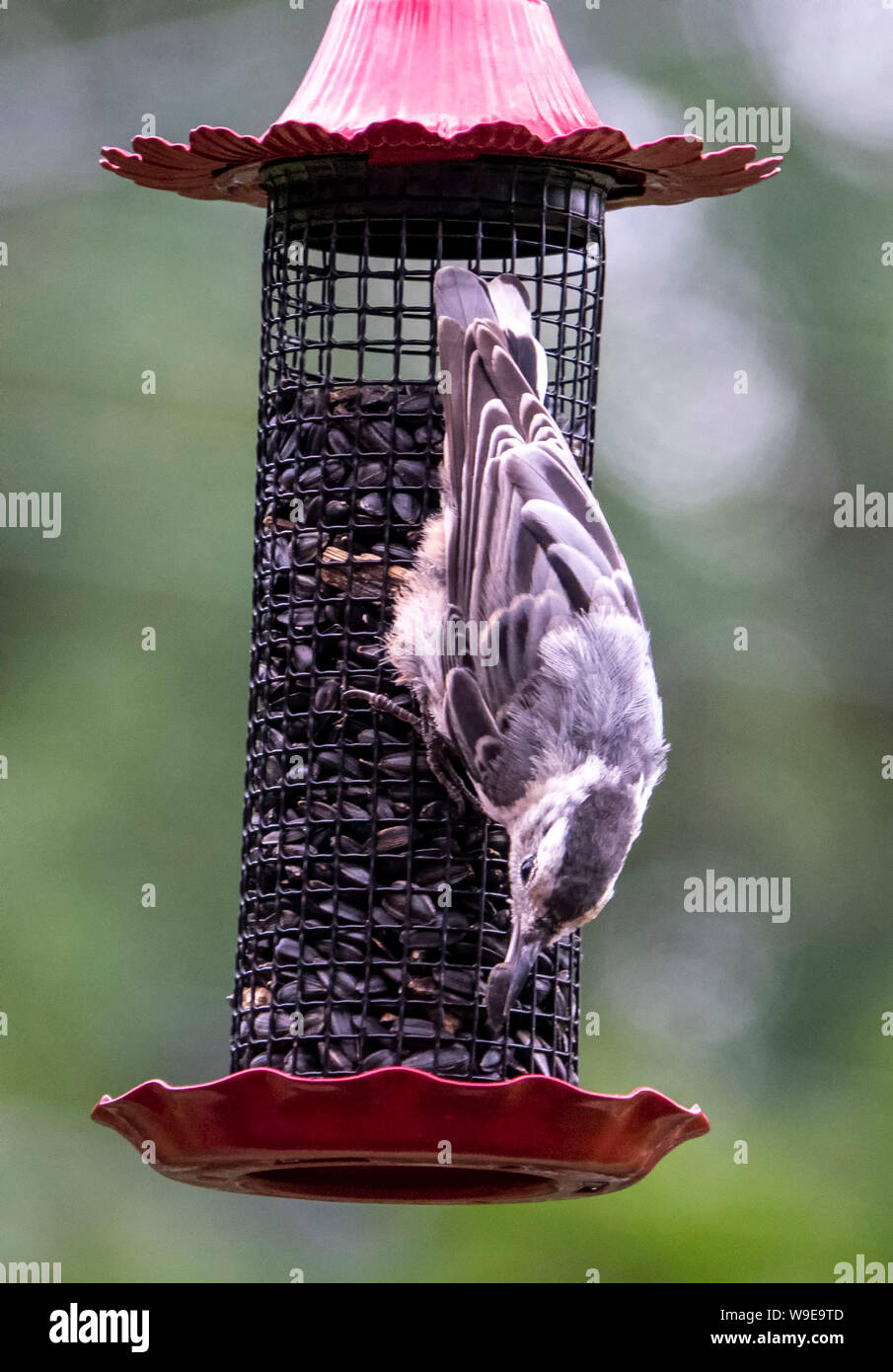 Straight down hires stock photography and images Alamy