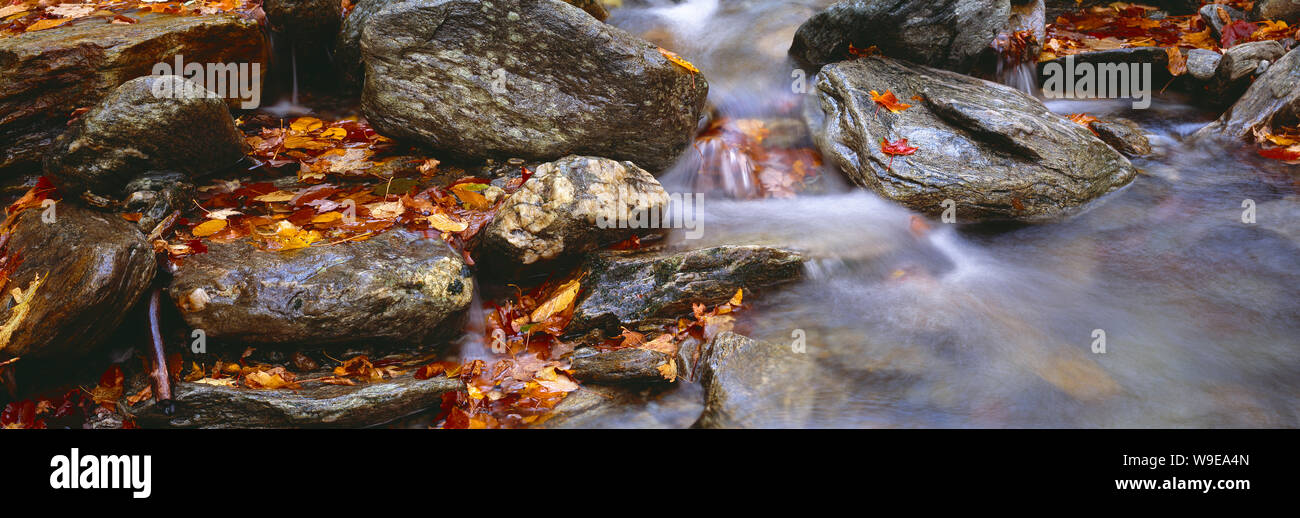 USA. Vermont. Smugglers Notch. Stream with boulders and fall leaves. Stock Photo