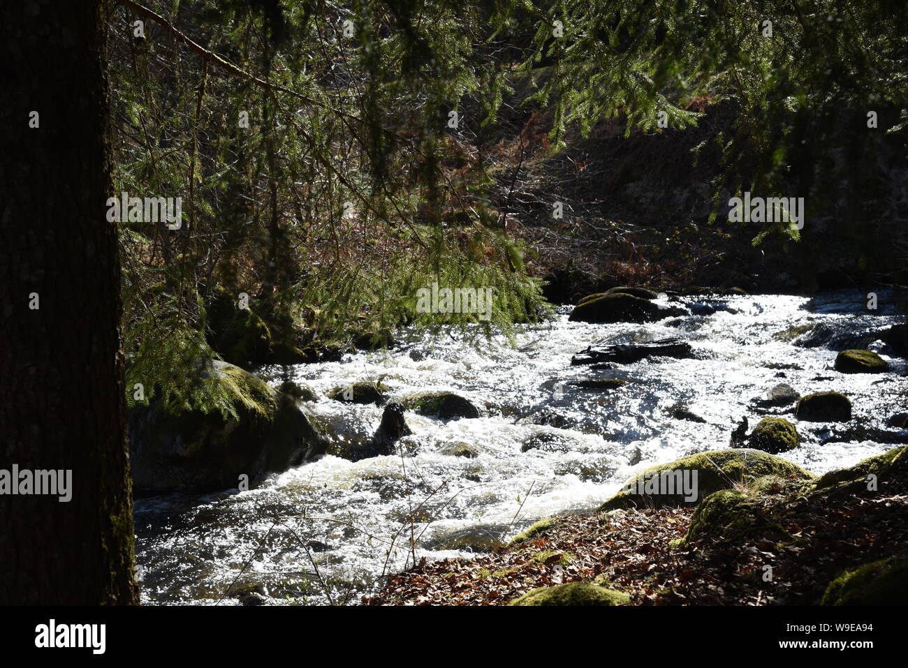 The Rigole du Diable is a legendary and picturesque site on the upper