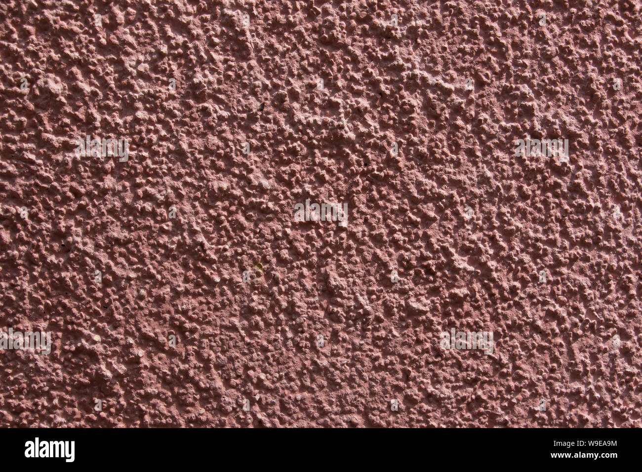 Pink painted wall with rough texture Stock Photo