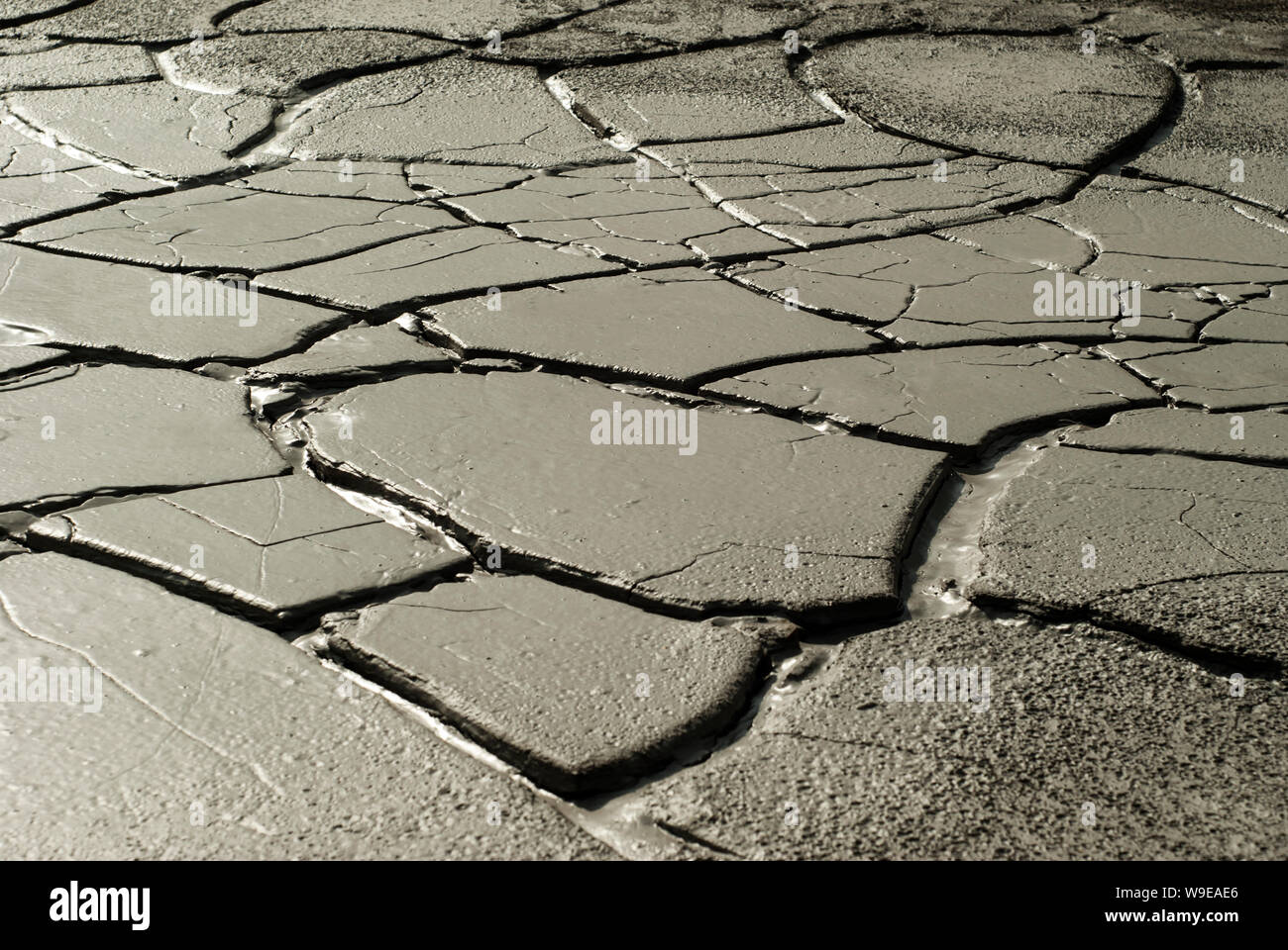 cracked wet clay on the bottom of a dry pond in an arid area Stock Photo Alamy
