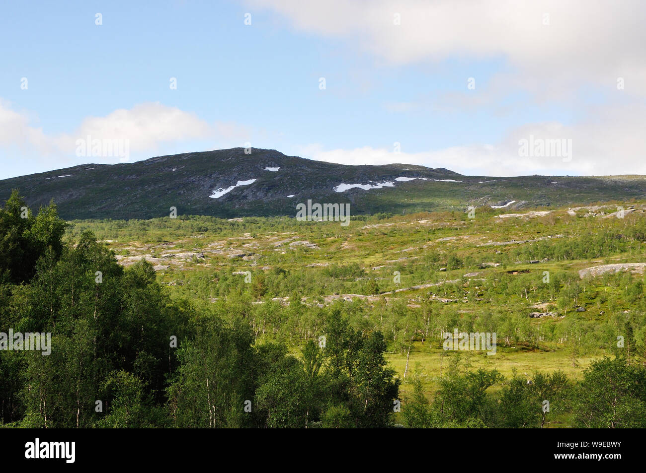 Der Nationalpark Saltfjellet-Svartisen in Norwegen lädt mit einer wilden romatischen Landschaft zum wandern und Erholen ein. Hier sind wir in der Nähe Stock Photo