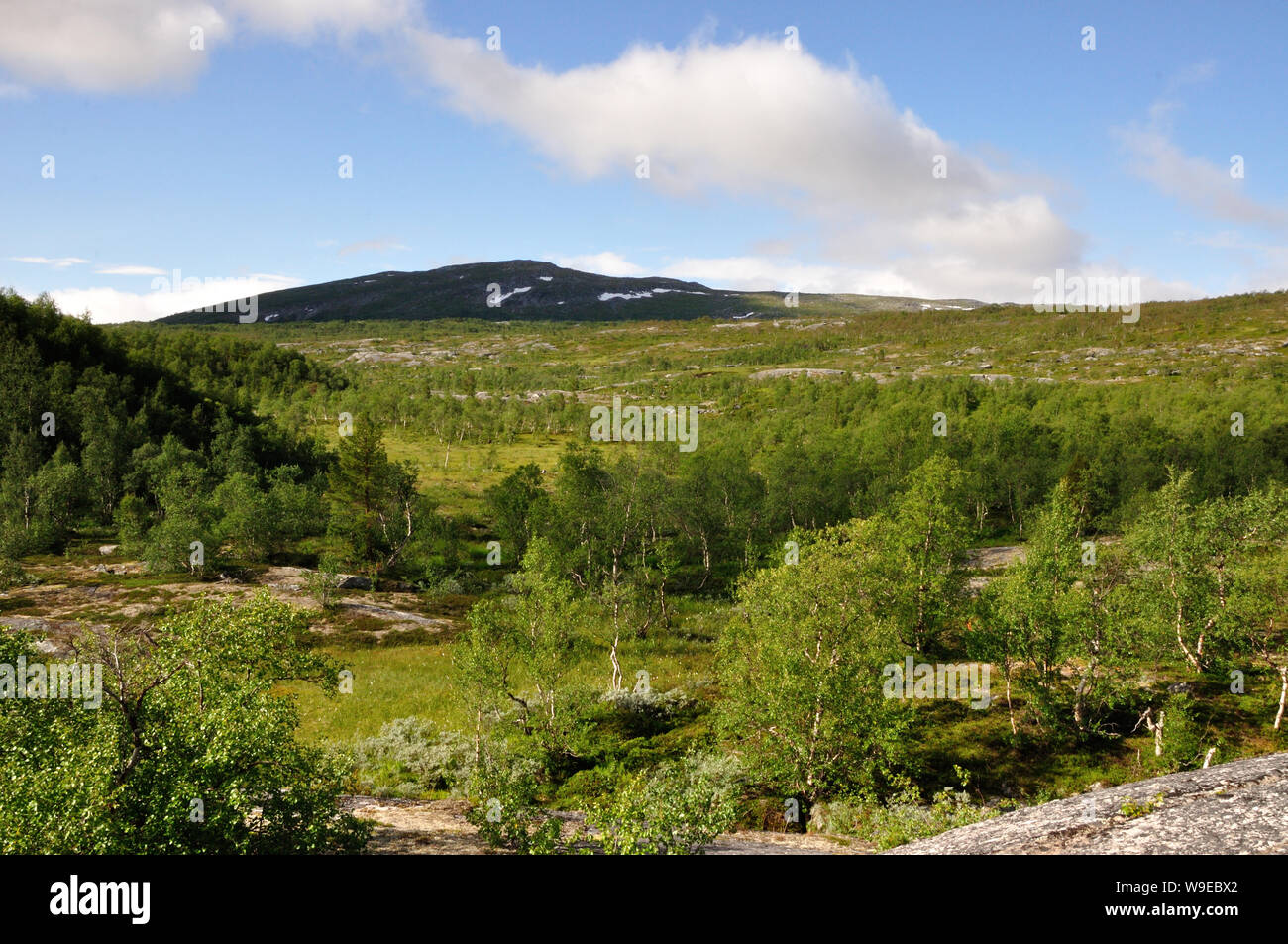 Der Nationalpark Saltfjellet-Svartisen in Norwegen lädt mit einer wilden romatischen Landschaft zum wandern und Erholen ein. Hier sind wir in der Nähe Stock Photo