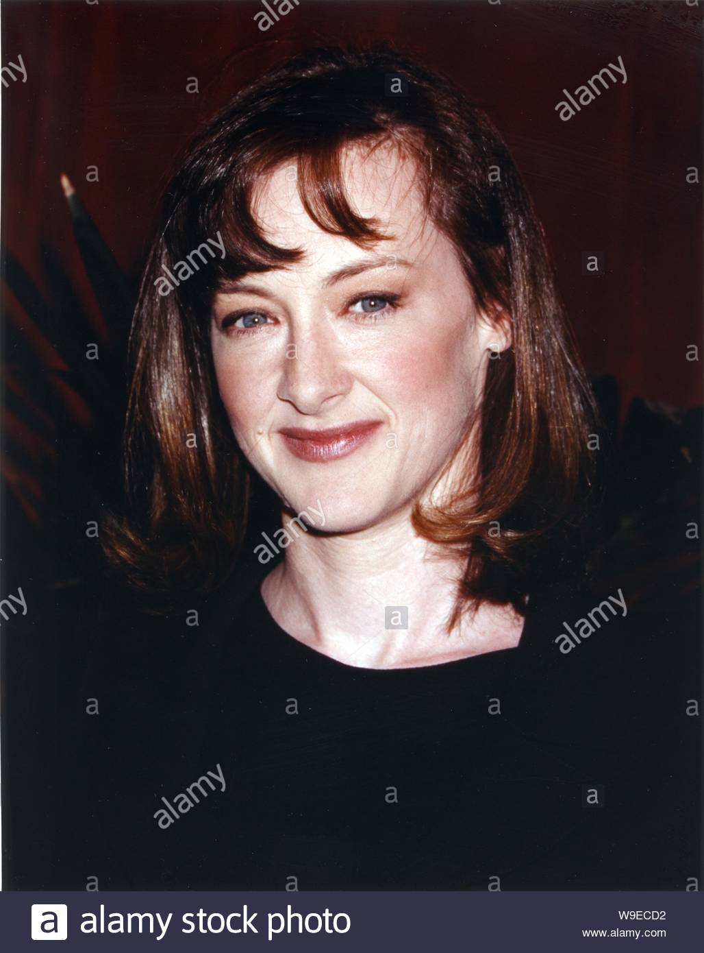Joan Cusack High Resolution Stock Photography and Images Alamy