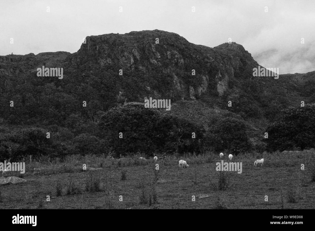 Der SnowdoniaNationalpark in Wales in der Nähe der Stadt Porthmadog Stock Photo Alamy Der SnowdoniaNationalpark in Wales in der Nähe der Stadt Porthmadog Stock Photo Alamy
