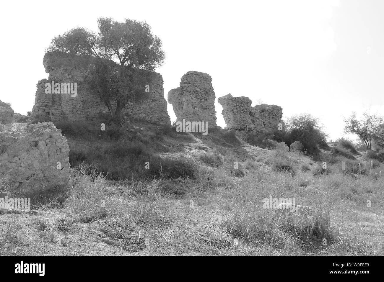 Historical ruins israel Black and White Stock Photos & Images - Alamy