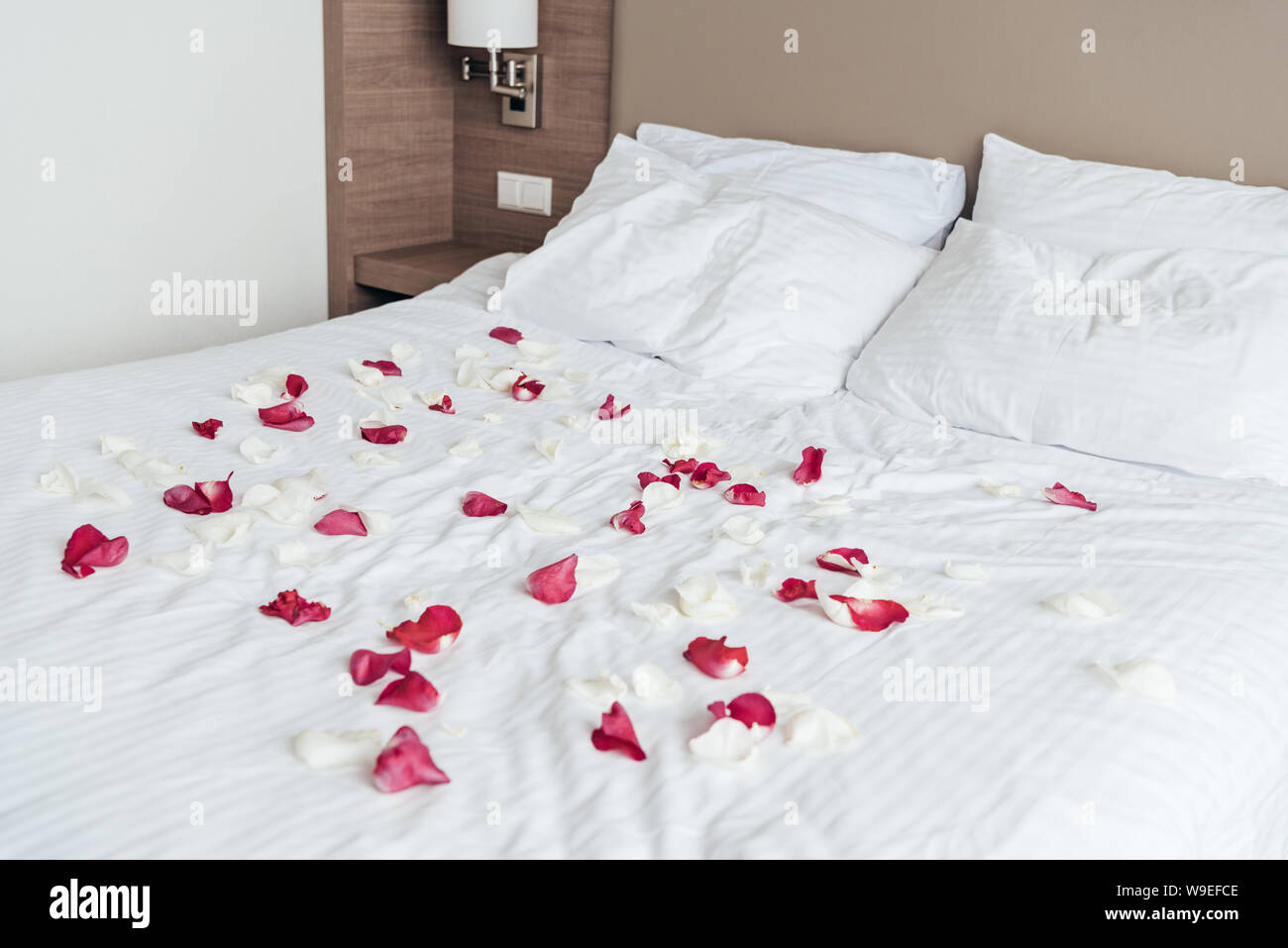 white and pink rose petals on white sheet on bed in bedroom Stock Photo