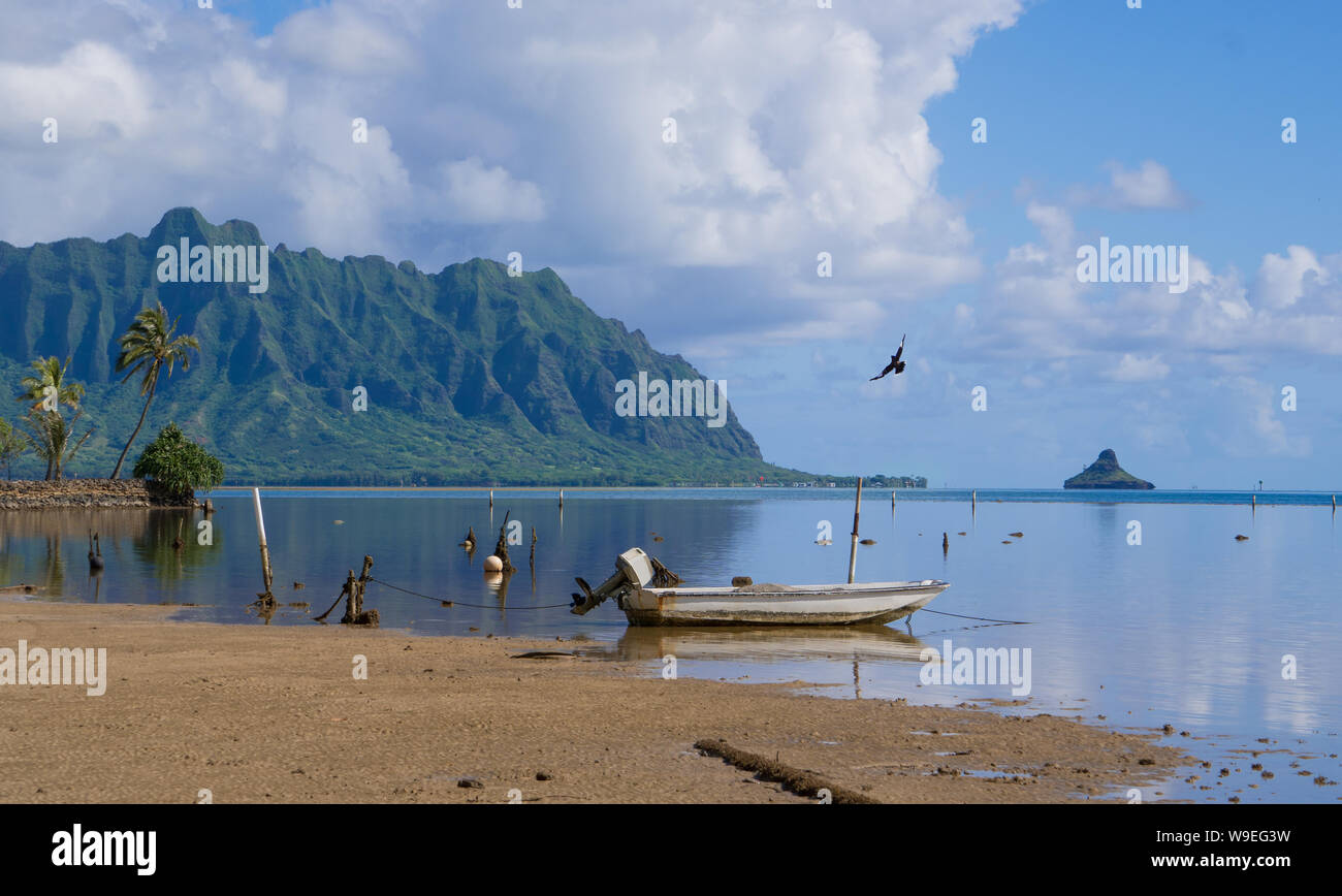 Boat, Bay and Bird - A Peaceful Day on Kaneohe Bay Stock Photo