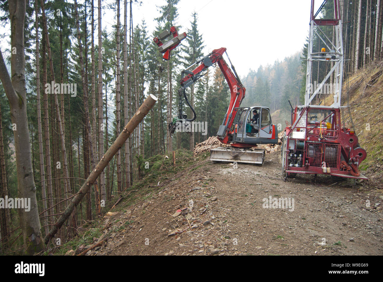 Tree Rigging Skyline Timber harvesting with skyline crane and manipulator in autumnal misty ...