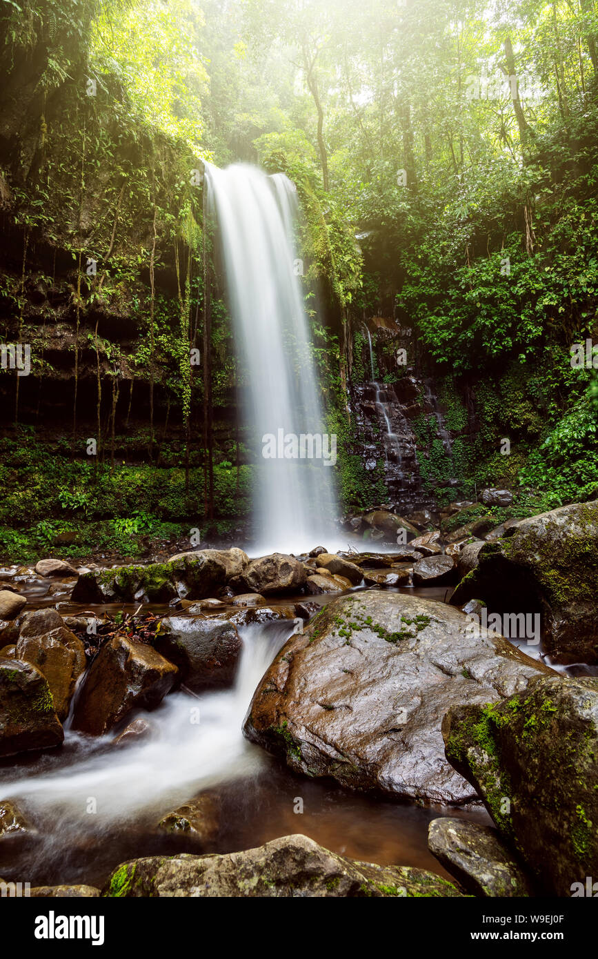 efterskrift kirurg performer Mahua Waterfall in Crocker Range National Park Tambunan Sabah Borneo  Malaysia Stock Photo - Alamy