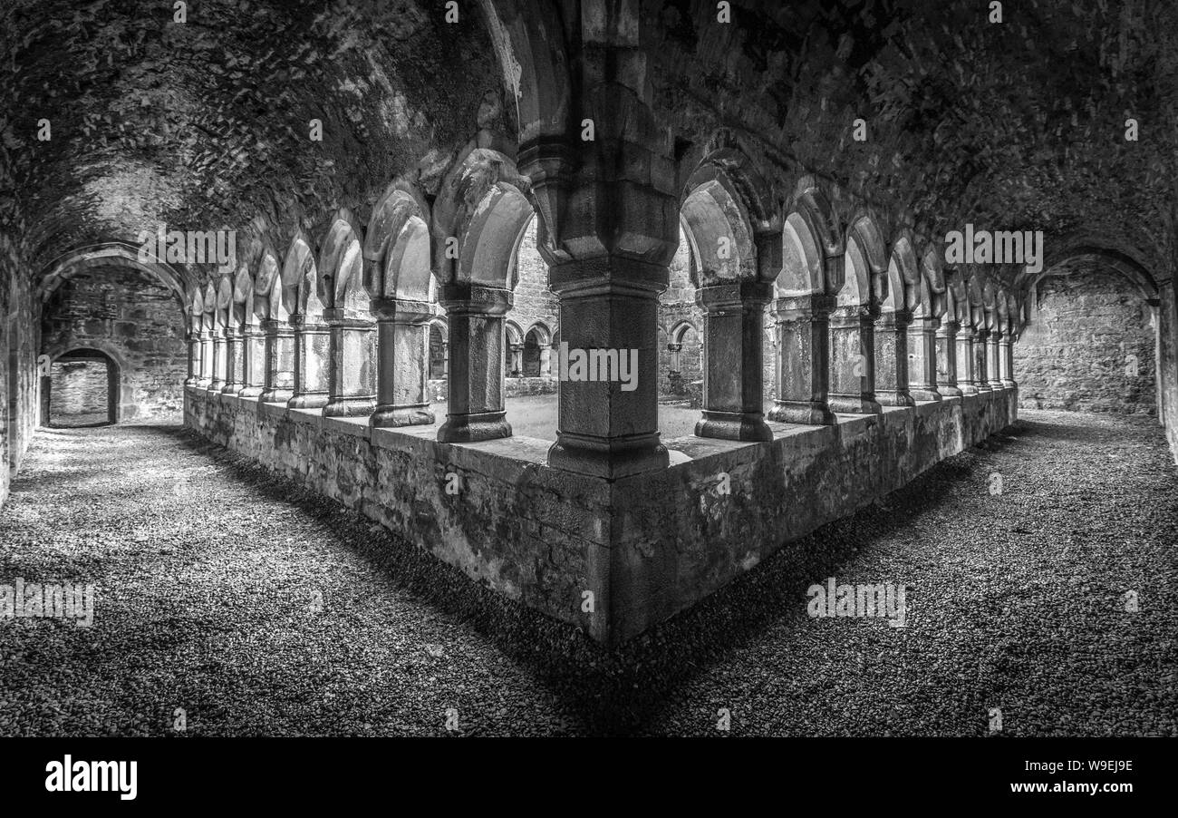 old Moyne Abbey near Killala, Co Mayo, Ireland Stock Photo