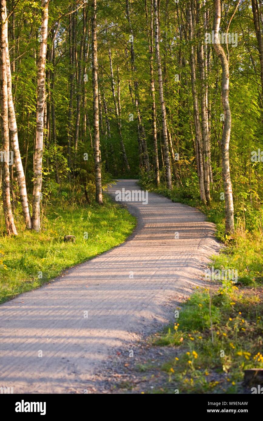 Footpath near Nallikari beach in Oulu, Finland Stock Photo