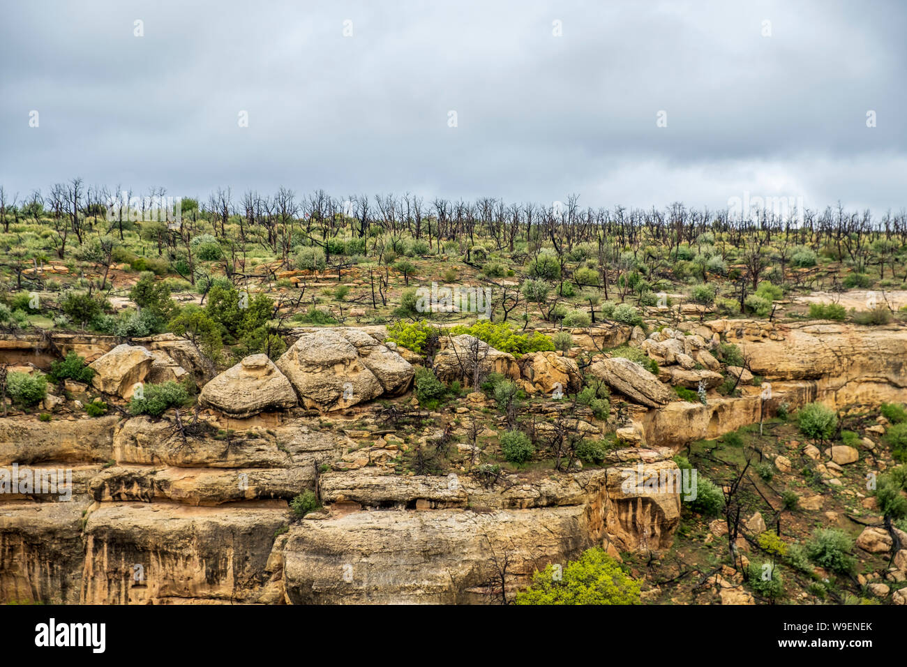 Mesa Verde National Park in Colorado, USA Stock Photo