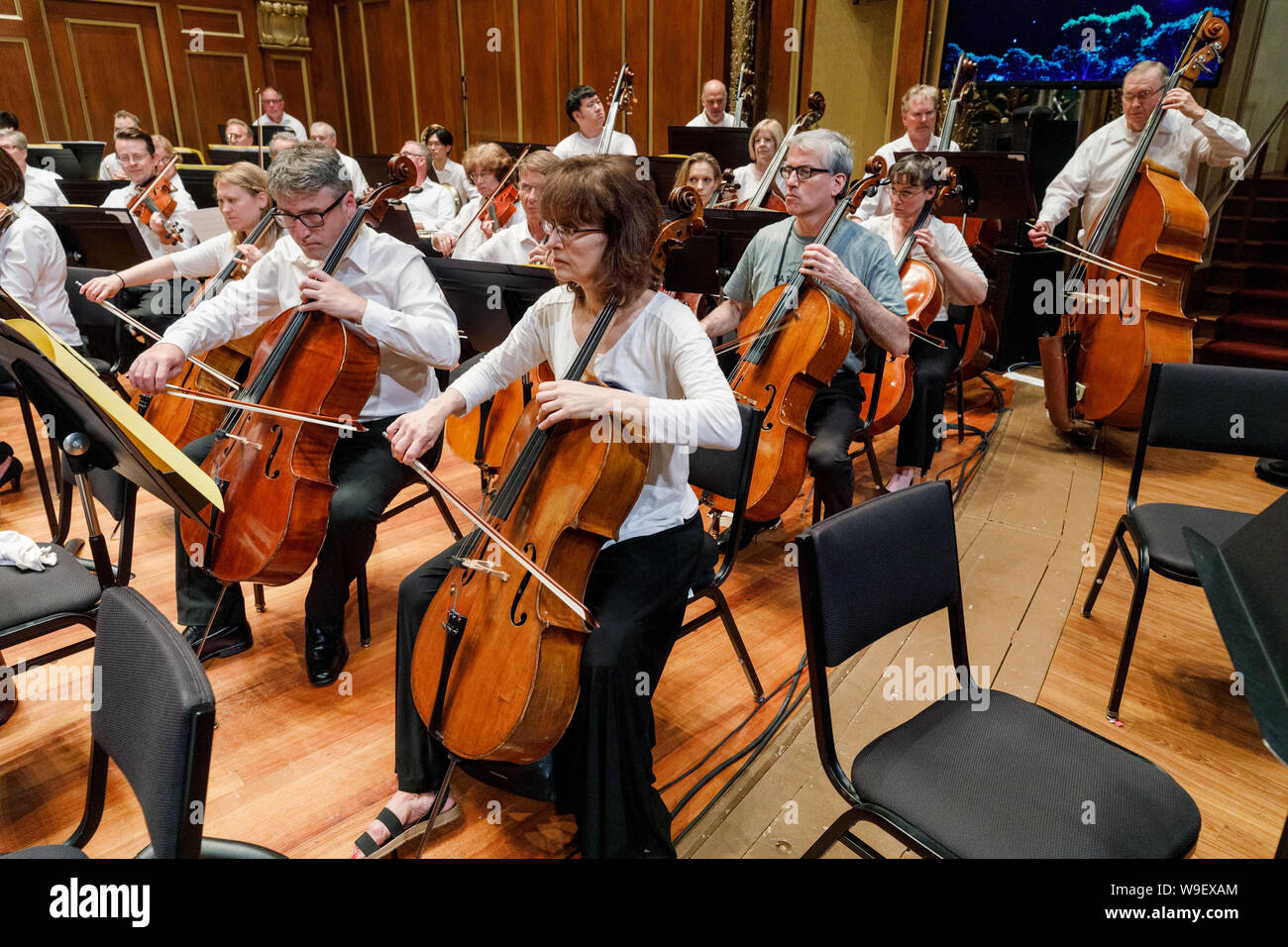 Boston Landmarks Orchestra, cellos, symphony rehearsal in Jordan Hall, Boston Massachusetts USA Stock Photo