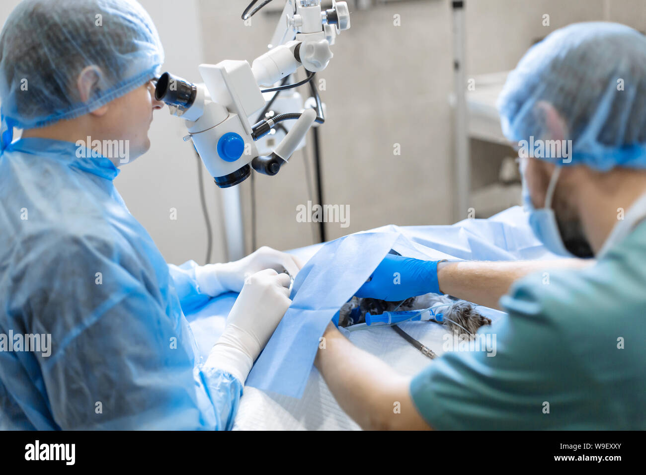 ophthalmologist surgeon looking through surgical microscope doing difficult operation. Stock Photo