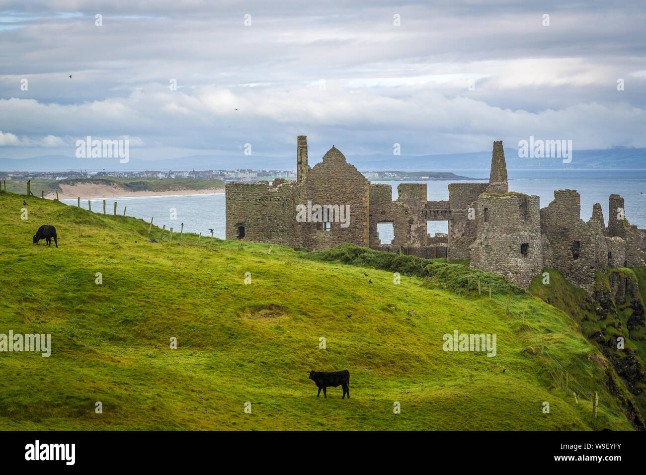 Dunluce Castle at the wonderful Antrim Coast, Co Antrim, Northern