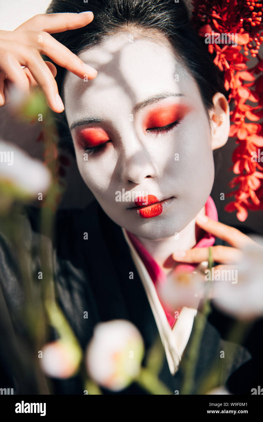 Makeup tree hi-res stock photography and images - Page 4 - Alamy