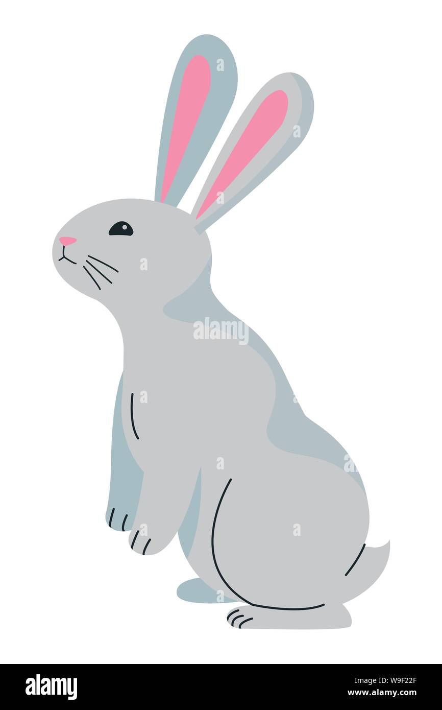 Cute rabbit pet animal cartoon Stock Vector Image & Art - Alamy