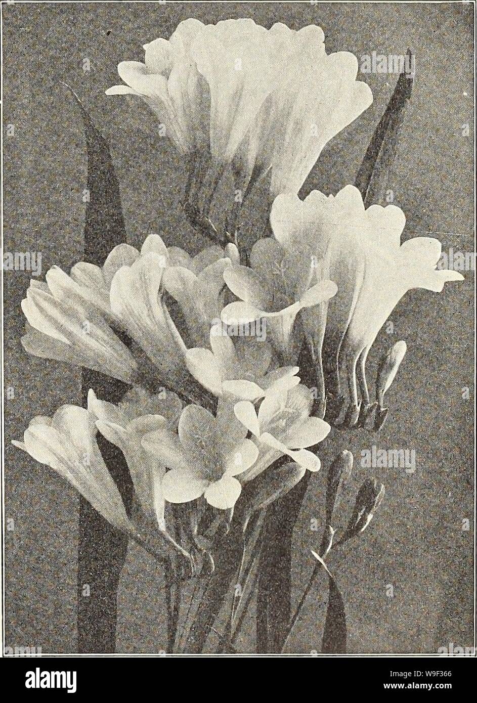 Hph High Resolution Stock Photography And Images Alamy