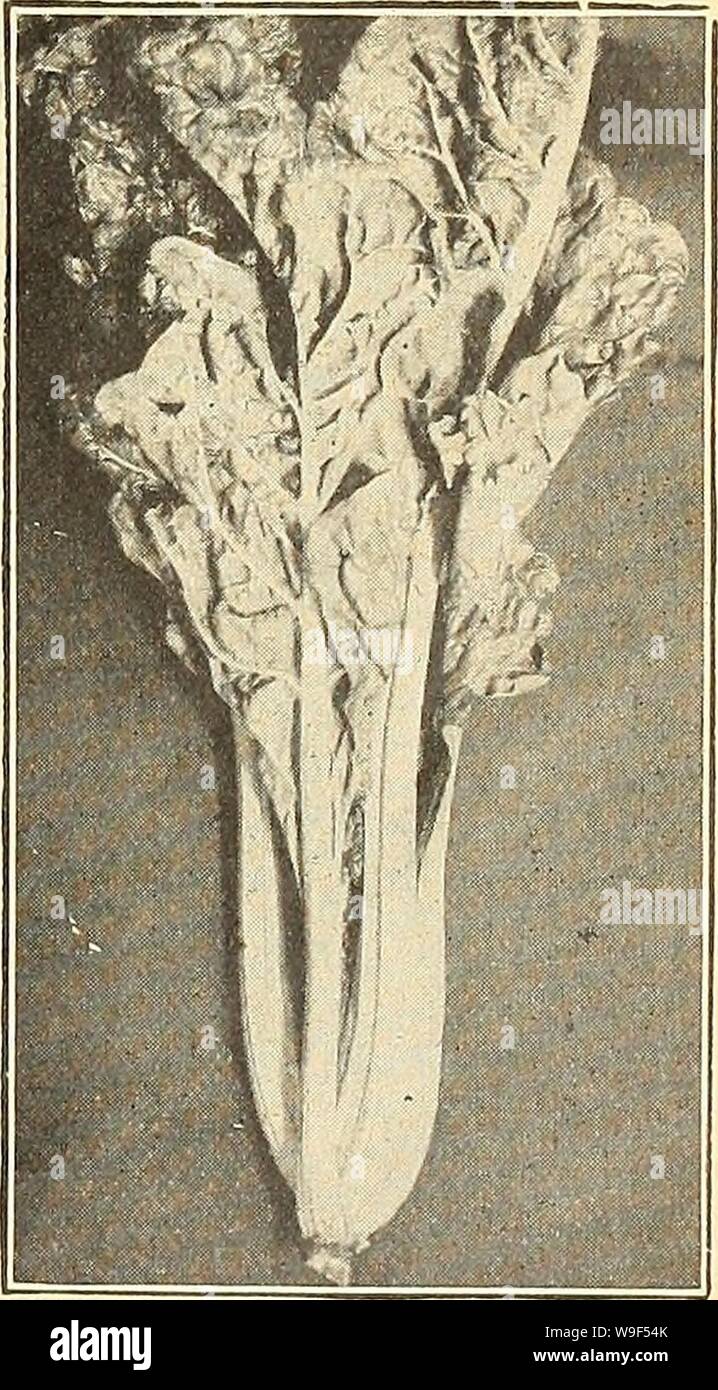 Archive Image From Page 16 Of Currie S Farm And Garden Annual