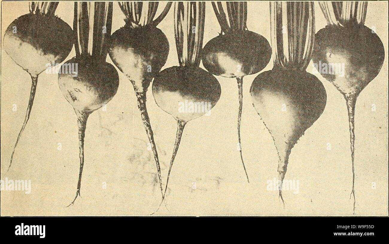 Archive Image From Page 16 Of Currie S Farm And Garden Annual