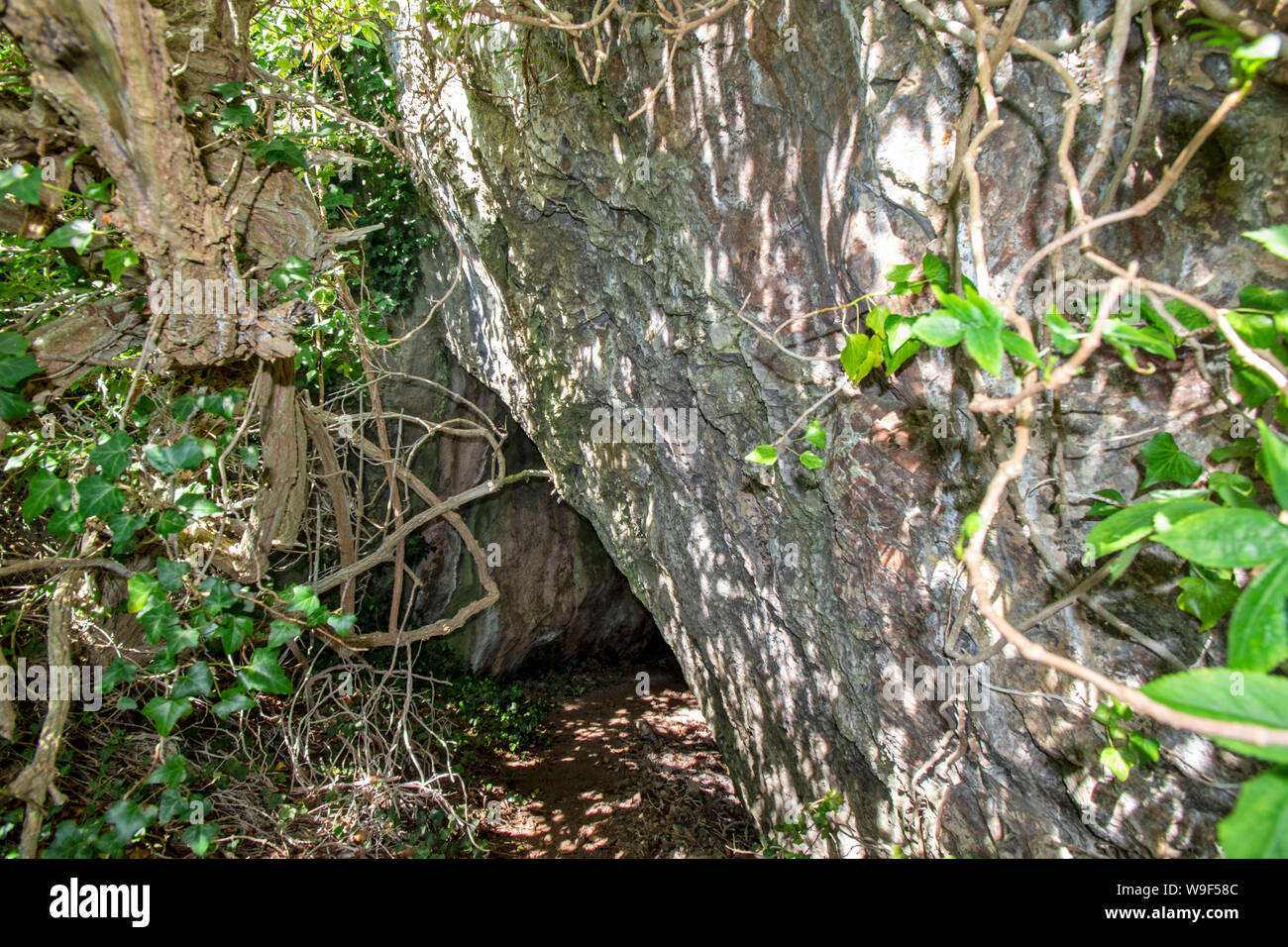 ROSEMARKIE BLACK ISLE ROSS AND CROMARTY SCOTLAND WELL  CONCEALED BY IVY THE ENTRANCE TO IVY CAVE Stock Photo